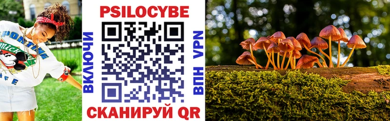 Галлюциногенные грибы прущие грибы  Богданович 